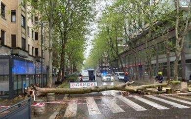 Fortissime raffiche di vento a Milano: alberi caduti e parchi chiusi. Nel Pavese esonda il Sesia