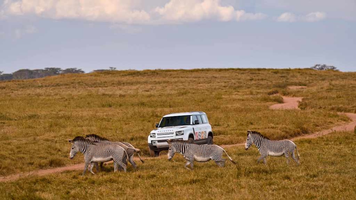 Defender Awards 2025: Land Rover lancia il premio globale per sostenere chi protegge persone e natura