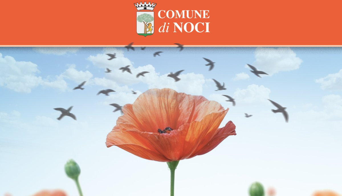 Comune di Noci pronto a celebrare3 l’80° anniversario della Liberazione d’Italia Comune di Noci pronto a celebrare3 l’80° anniversario della Liberazione d’Italia