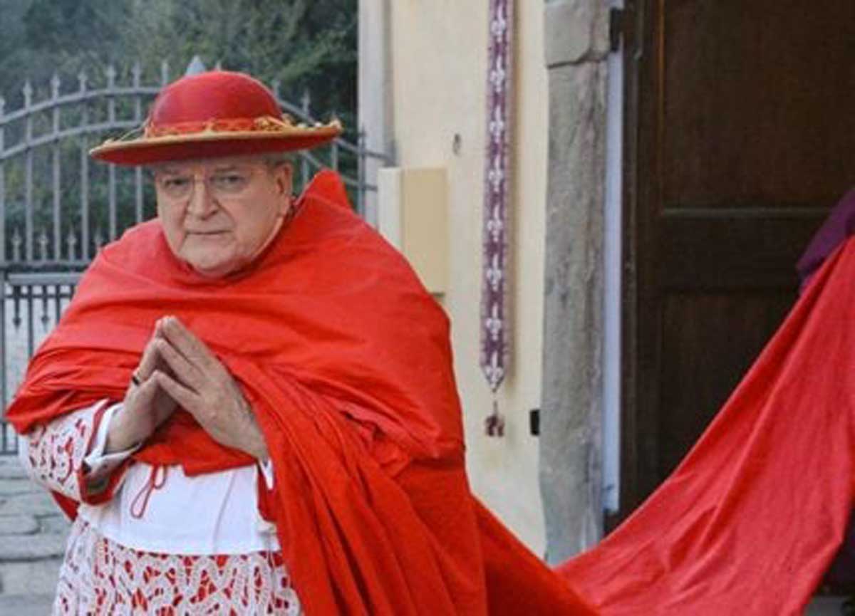 Verso il Conclave, sul web fa discutere la foto del cardinale Usa Burke in Cappa Magna con 12 metri di strascico Verso il Conclave, sul web fa discutere la foto del cardinale Usa Burke in Cappa Magna con 12 metri di strascico