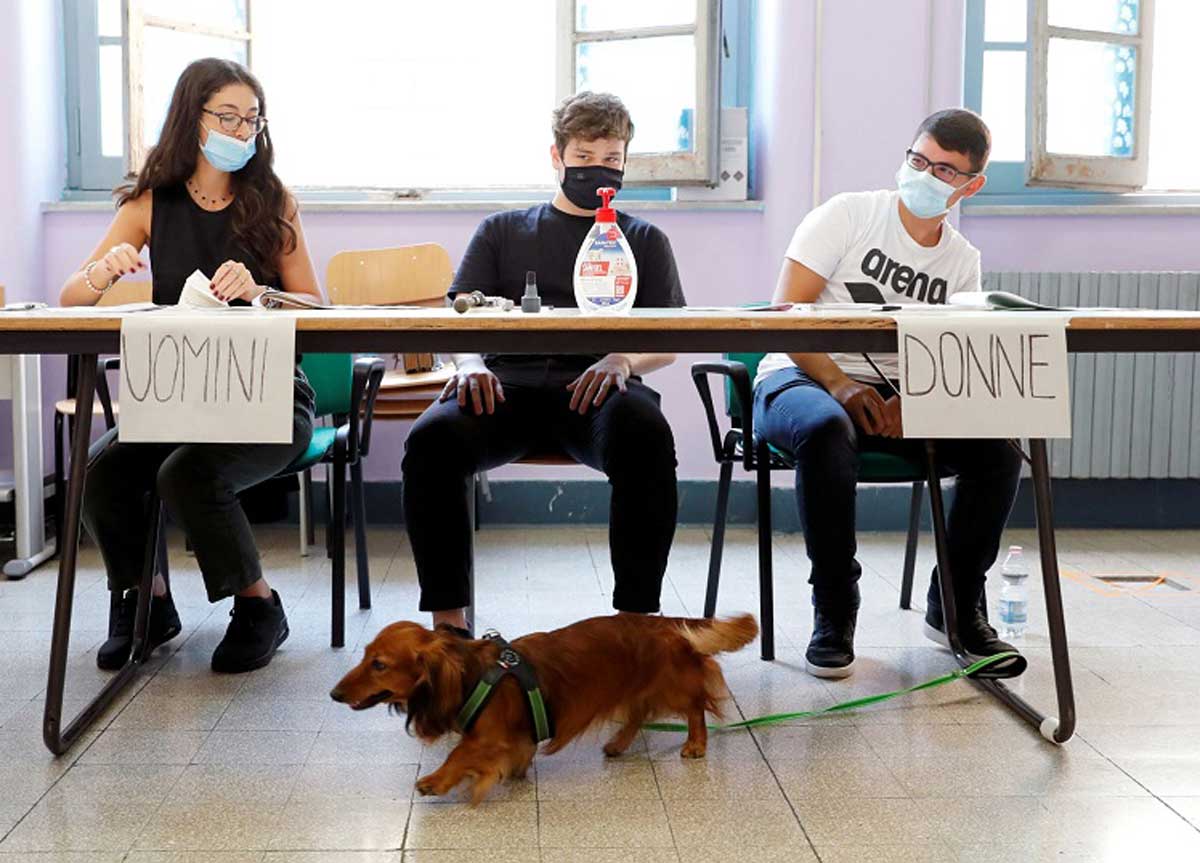 Più cani, gatti e pesci rossi che bambini: gli animali superano gli umani. Business da oltre 3 miliardi