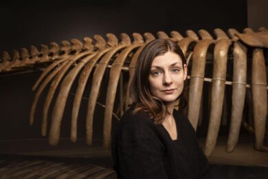 Quali sono e di cosa parlano i romanzi in finale al Premio Strega Europeo 2025