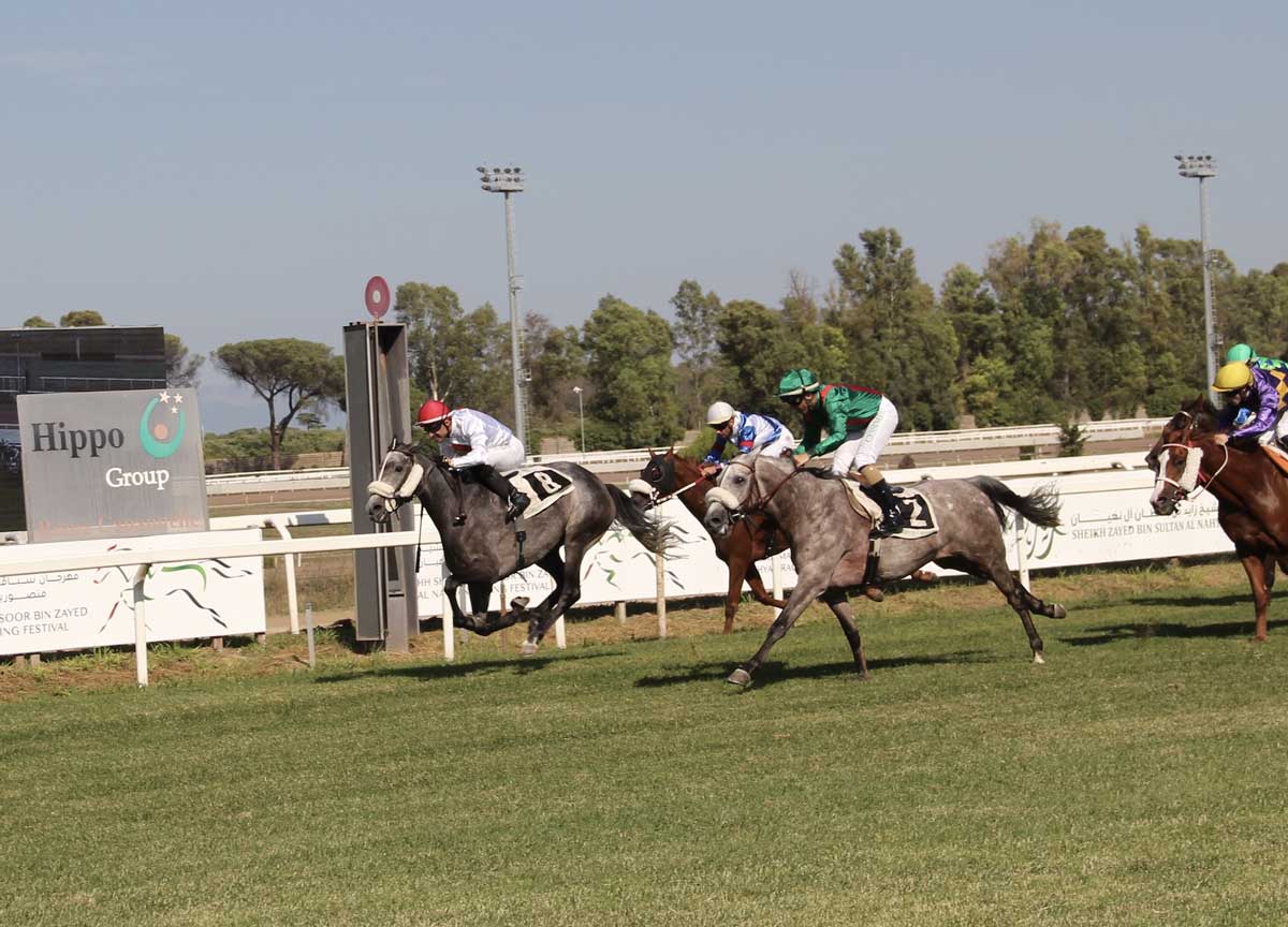 Roma, purosangue arabi al galoppo, è record di montepremi per la “prima” della Uae President Cup Roma, purosangue arabi al galoppo, è record di montepremi per la “prima” della Uae President Cup