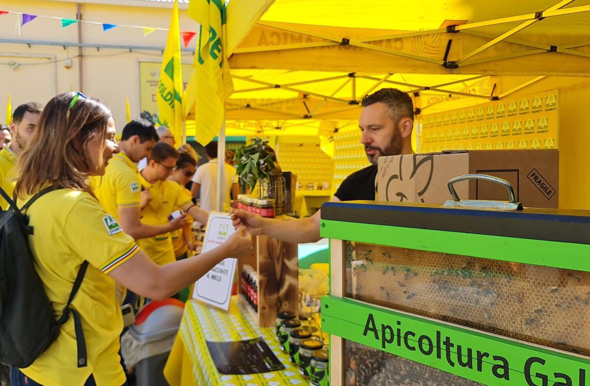 Giornata delle Api, Coldiretti Puglia: ‘Salvare 32mila alveari in Puglia’