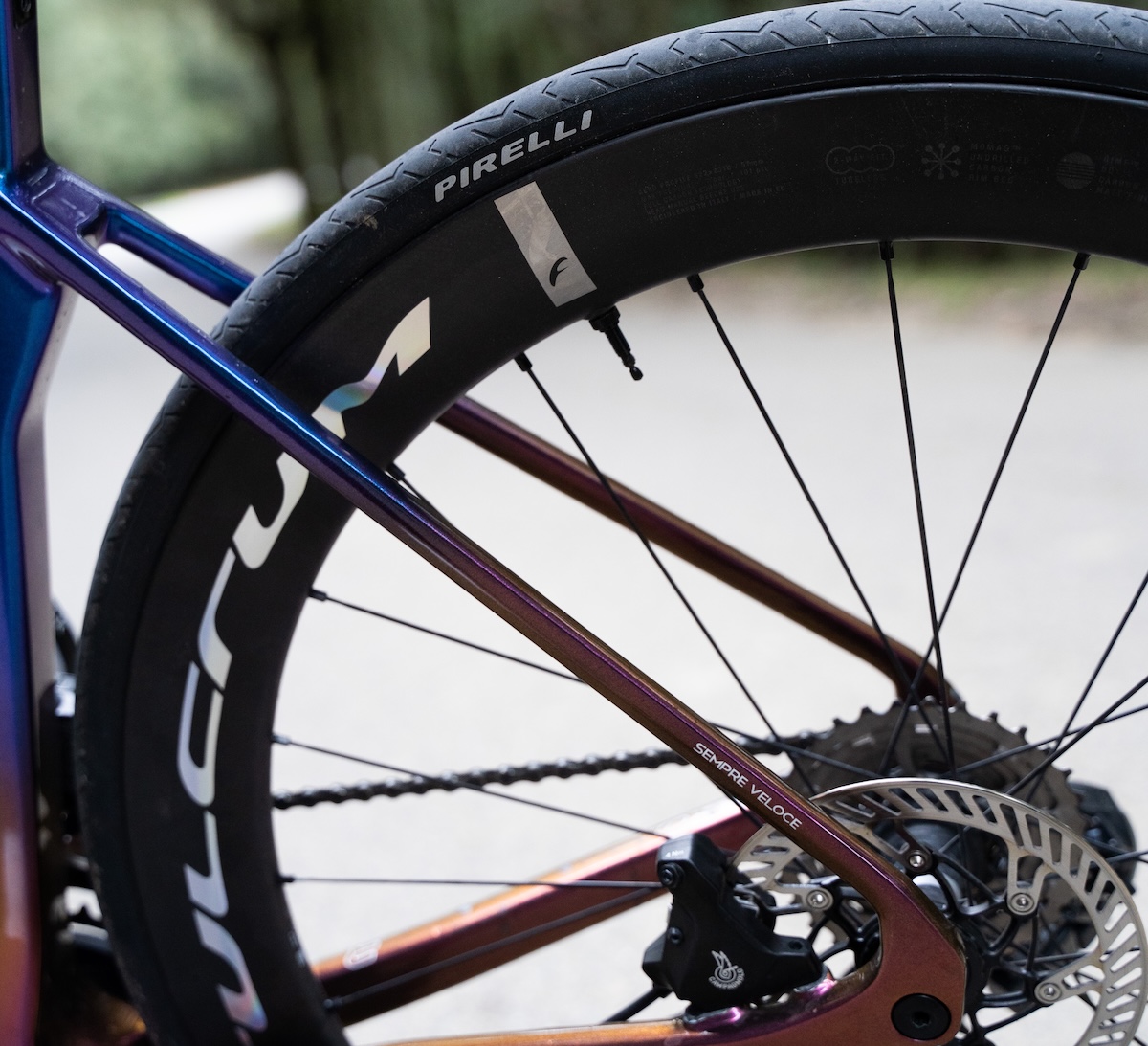 Pirelli CINTURATO EVO TLR: il nuovo pneumatico bici per ogni terreno e stagione Pirelli CINTURATO EVO TLR: il nuovo pneumatico bici per ogni terreno e stagione