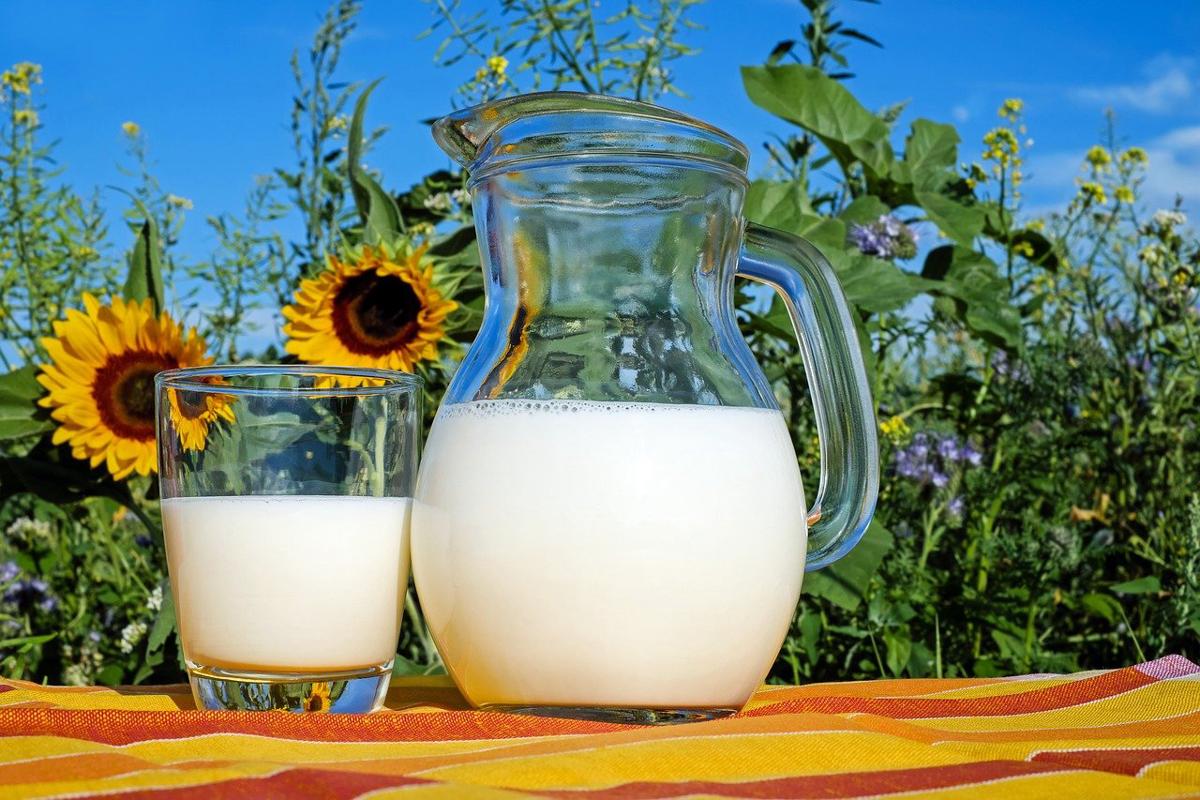 Richiamati latte UHT e polpa di mela e banana per problemi di conservazione e livelli alti di microtossine Richiamati latte UHT e polpa di mela e banana per problemi di conservazione e livelli alti di microtossine