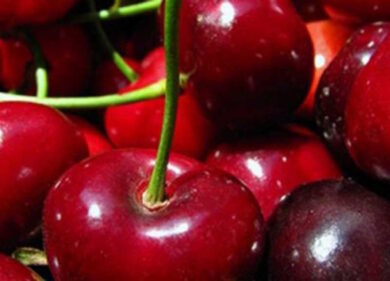 Ciliegie a prezzi folli, più di 20 euro al chilo a Milano. Ecco perché