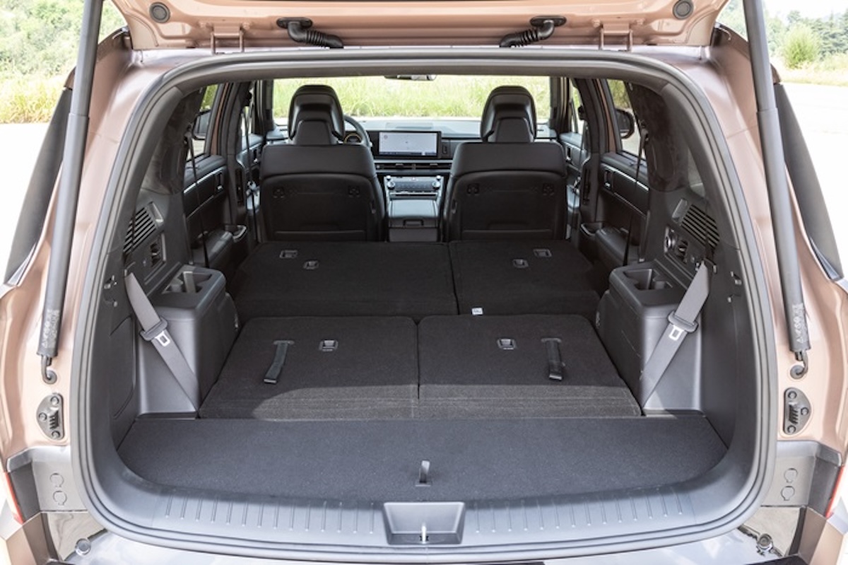 Hyundai pet-friendly: la mobilità su misura per chi viaggia con animali domestici