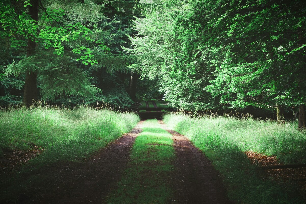 Fionia: estate nel giardino della Danimarca tra castelli, fiabe e isole incantate Fionia: estate nel giardino della Danimarca tra castelli, fiabe e isole incantate