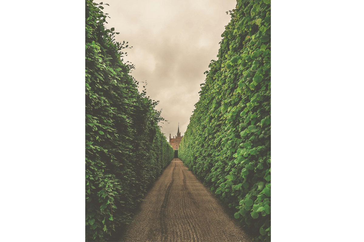 Fionia: estate nel giardino della Danimarca tra castelli, fiabe e isole incantate Fionia: estate nel giardino della Danimarca tra castelli, fiabe e isole incantate