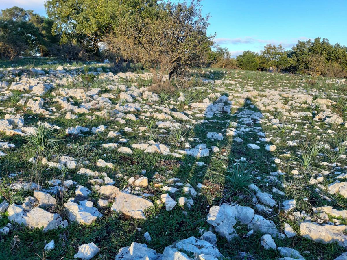 DONNAPAOLA, opening per l’ArtFarm nel cuore della Murgia pugliese