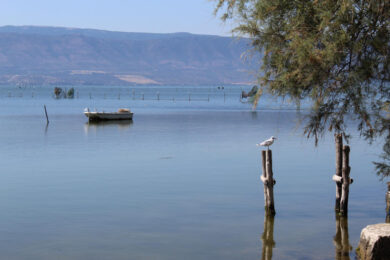 Toscana, bimba di dieci anni scompare mentre fa il bagno nel lago: ricerche in corso