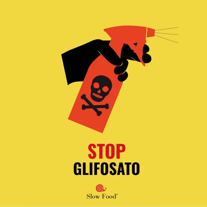 Rutigliano (Ba), ‘Festa del Grano Buono’ Slow Food punta il dito contro il glifosato