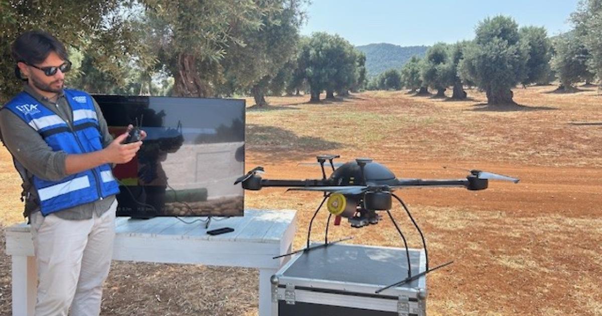 Xylella fastidiosa: droni e satelliti per le attività di contrasto Xylella fastidiosa: droni e satelliti per le attività di contrasto