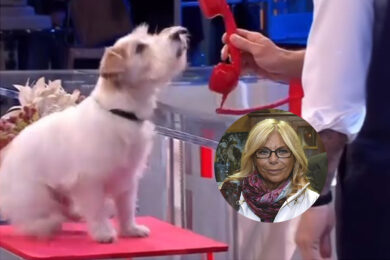 Rita Dalla Chiesa contro Affari Tuoi e Rai: “Basta usare il cane Gennarino come un pupazzo”