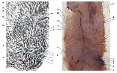 Garlasco, la conferma: non c’è il dna di Sempio sui resti della colazione. E metà dei campioni è illeggibile