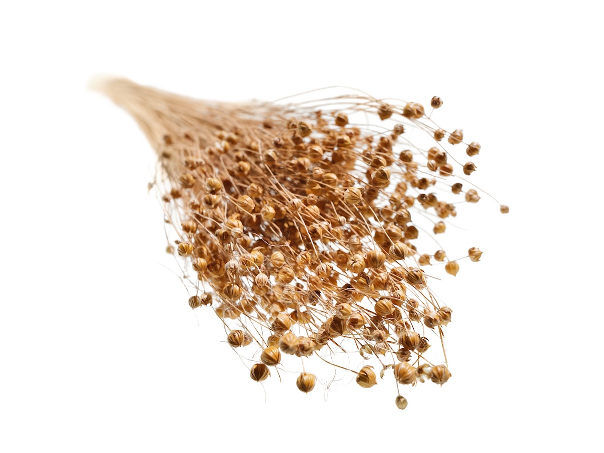 BMW punta sulle fibre naturali: dai circuiti alla produzione di serie per un’auto più sostenibile BMW punta sulle fibre naturali: dai circuiti alla produzione di serie per un’auto più sostenibile
