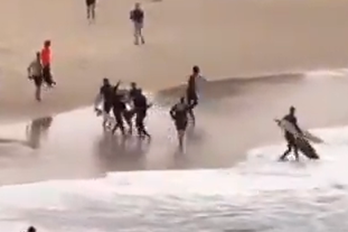 Australia, scena da film e terrore in spiaggia: squalo attacca il surfista e lo segue fino a riva Australia, scena da film e terrore in spiaggia: squalo attacca il surfista e lo segue fino a riva