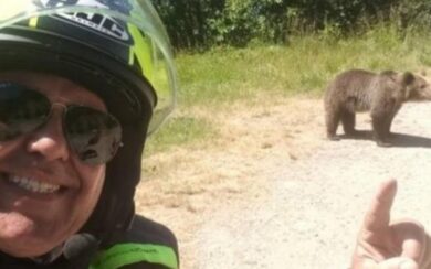 L’ultimo video del motociclista italiano ucciso in Romania da un orso: “Guarda come è bello”