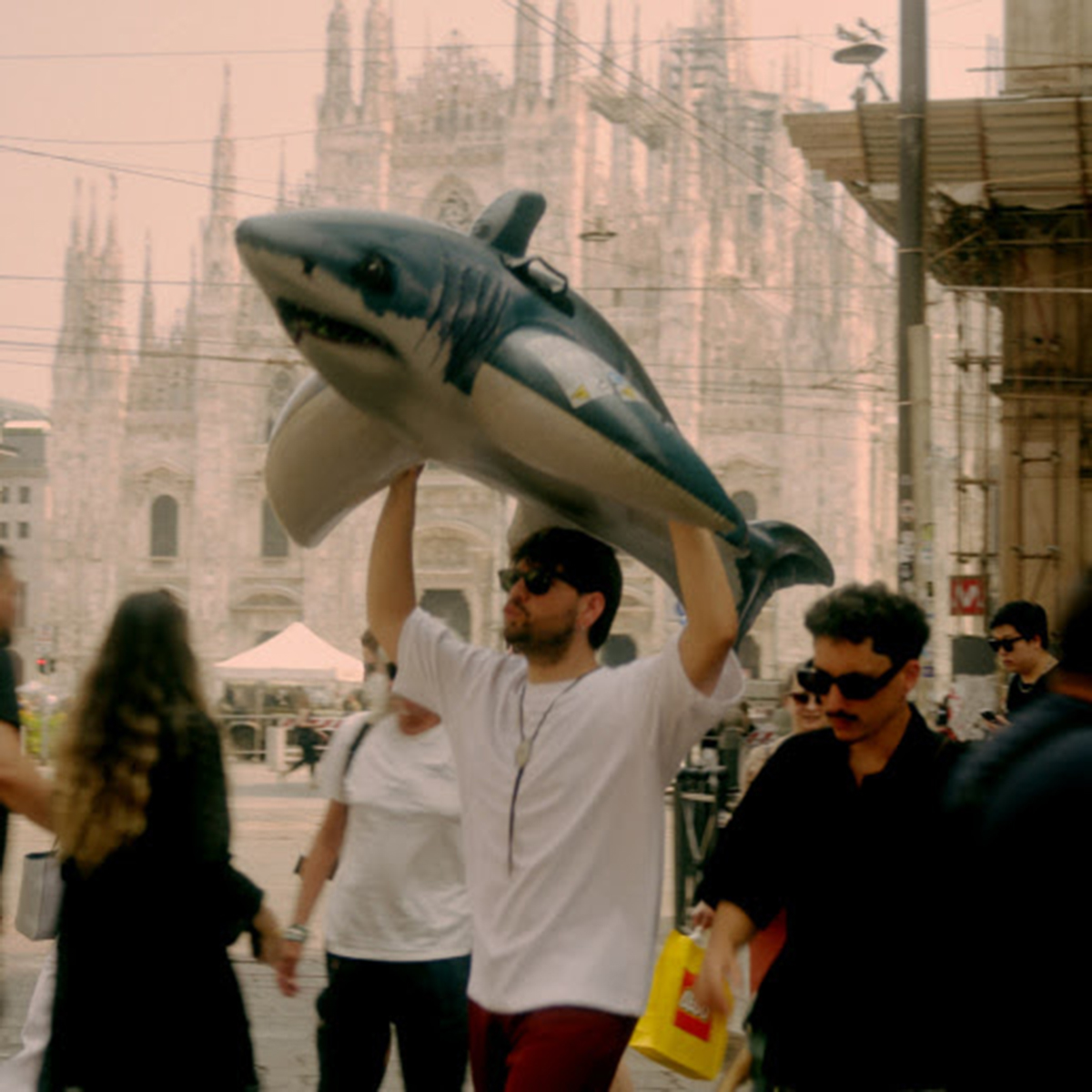Squali (tutti al mare) dall’11 luglio – Con la testa tra le nuvole e il cuore tra gli squali: l’estate secondo i Viito Squali (tutti al mare) dall’11 luglio – Con la testa tra le nuvole e il cuore tra gli squali: l’estate secondo i Viito