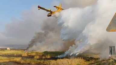Incendi, la Puglia torna a bruciare: dal Gargano al Salento un mare di verde in fumo