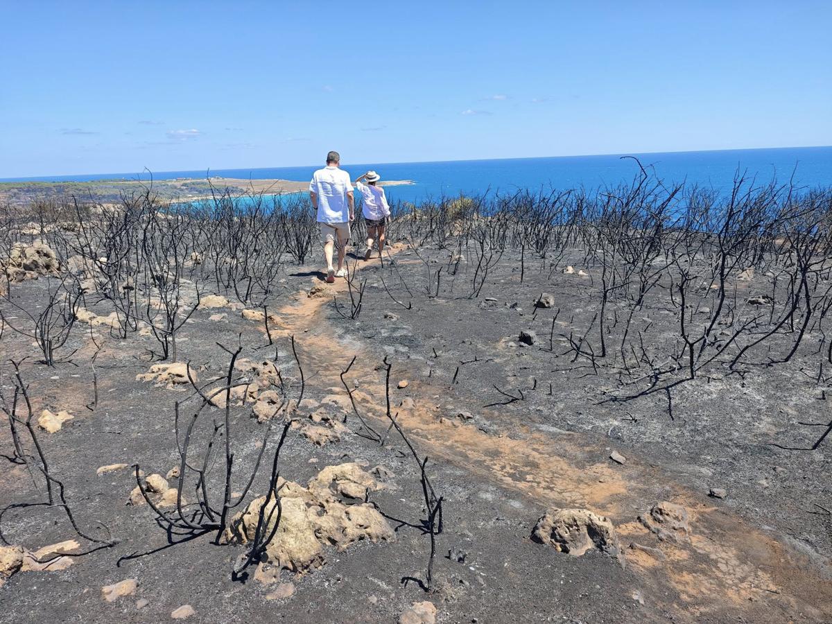Incendi, la Puglia torna a bruciare: dal Gargano al Salento un mare di verde in fumo