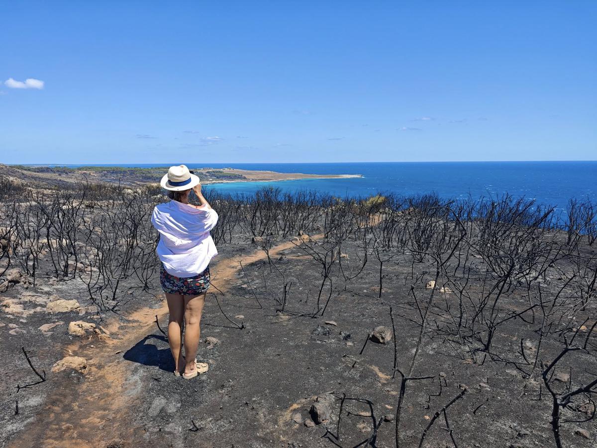 Incendi, la Puglia torna a bruciare: dal Gargano al Salento un mare di verde in fumo