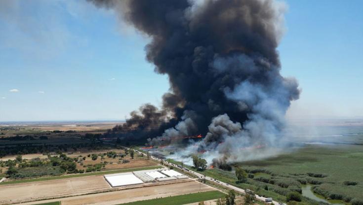 Incendi, la Puglia torna a bruciare: dal Gargano al Salento un mare di verde in fumo