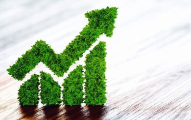 Sostenibilità nell’eCommerce:  solo il 20% delle aziende ha avviato iniziative concrete