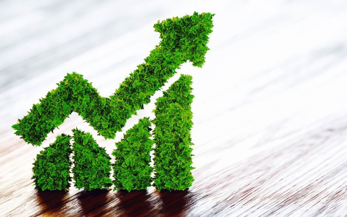 Sostenibilità nell’eCommerce: solo il 20% delle aziende ha avviato iniziative concrete Sostenibilità nell’eCommerce: solo il 20% delle aziende ha avviato iniziative concrete