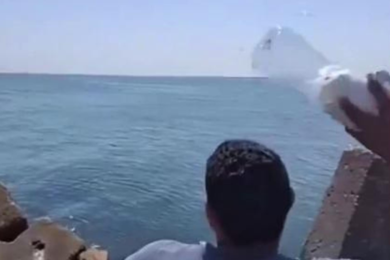 Gli egiziani lanciano in mare bottiglie piene di cibo per Gaza: il gesto che commuove il mondo