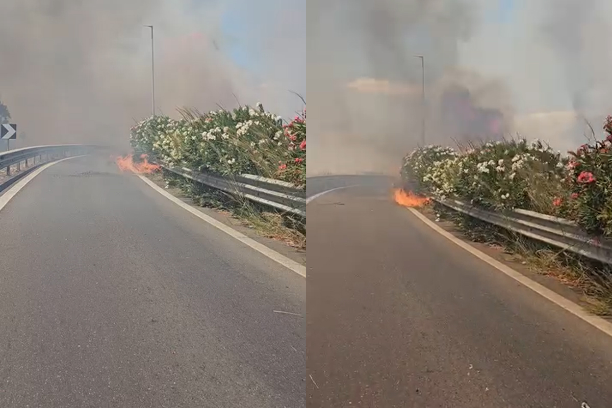 Incendio a Catania, aeroporto chiuso: voli sospesi per fiamme vicino alla pista. Stop al traffico verso Siracusa Incendio a Catania, aeroporto chiuso: voli sospesi per fiamme vicino alla pista. Stop al traffico verso Siracusa