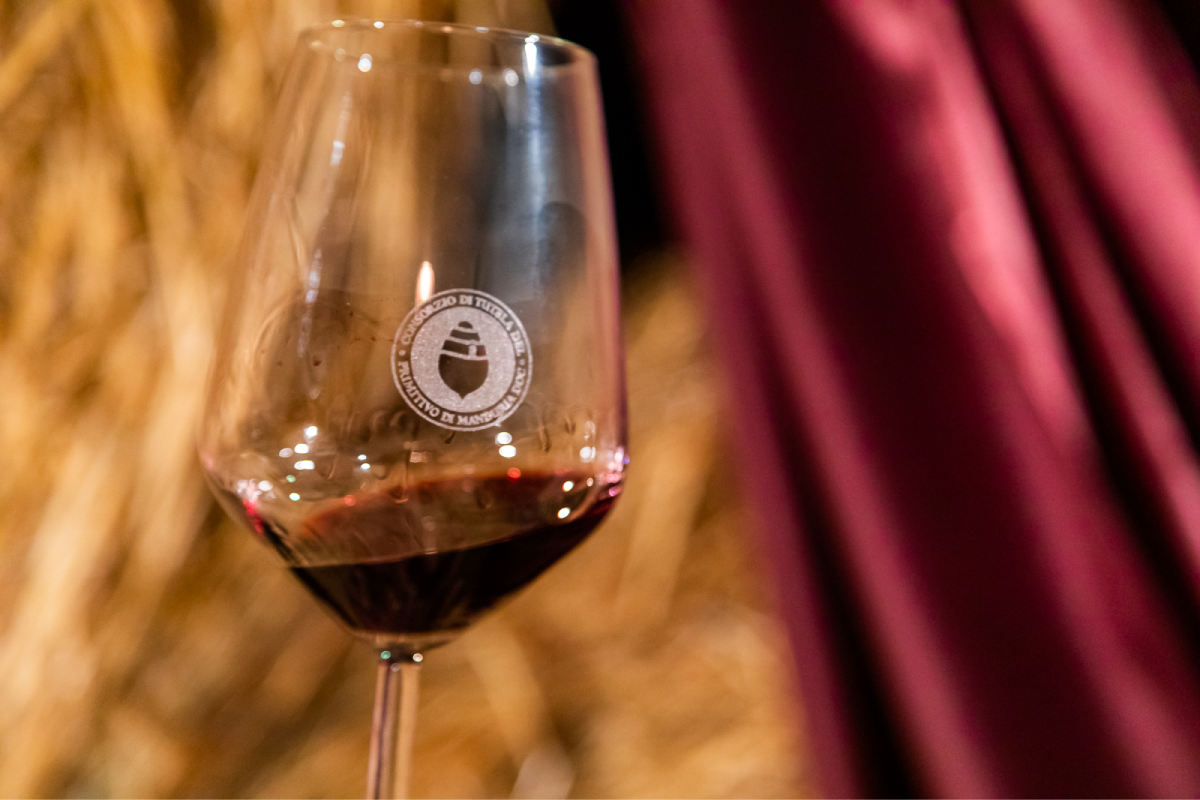 Primitivo di Manduria, al via il tour estivo in Puglia tra eventi e degustazioni Primitivo di Manduria, al via il tour estivo in Puglia tra eventi e degustazioni