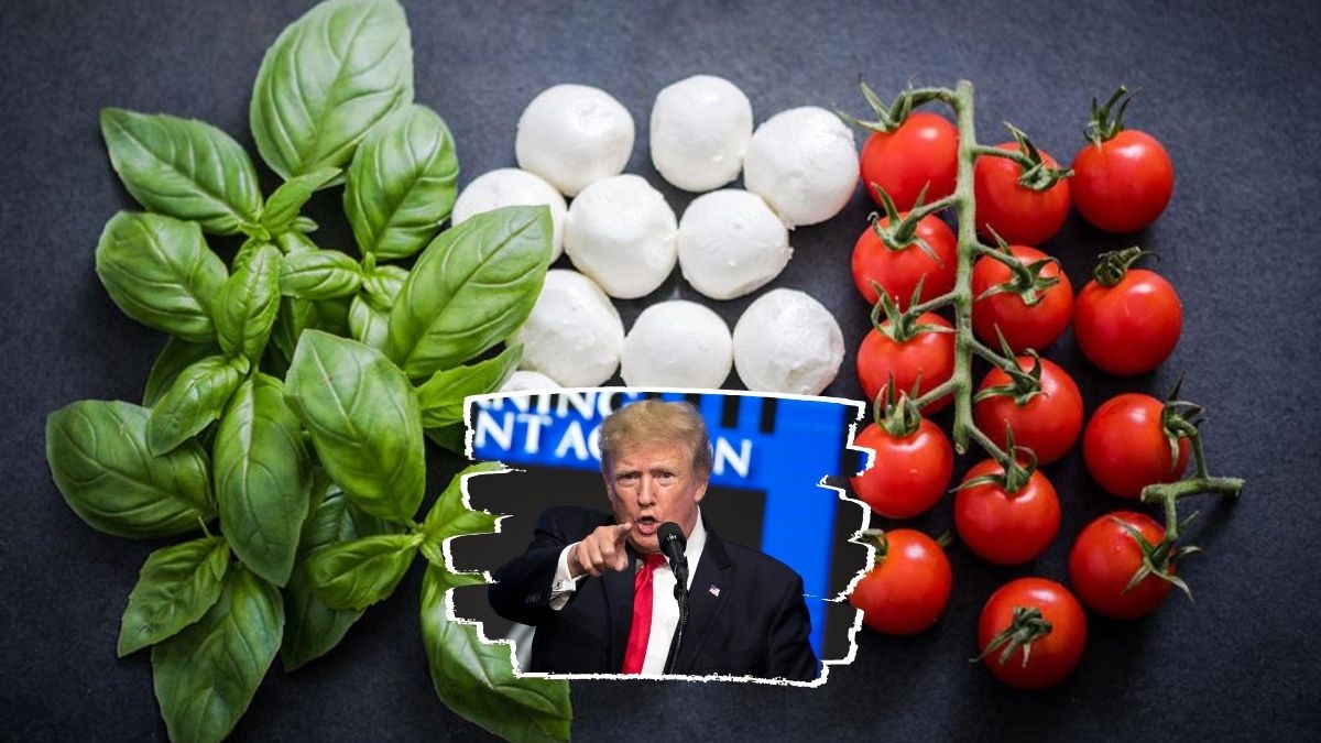 Dazi, difendere l’Italia dalle tempeste geopolitiche si può Dazi, difendere l’Italia dalle tempeste geopolitiche si può