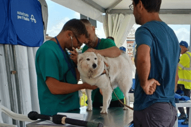 ASPI: chiude nel Lazio la Carovana della sicurezza con check up, simulatori e presidi veterinari