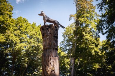 ARTEPARCO 2025, BMW sostiene l’arte contemporanea nella natura