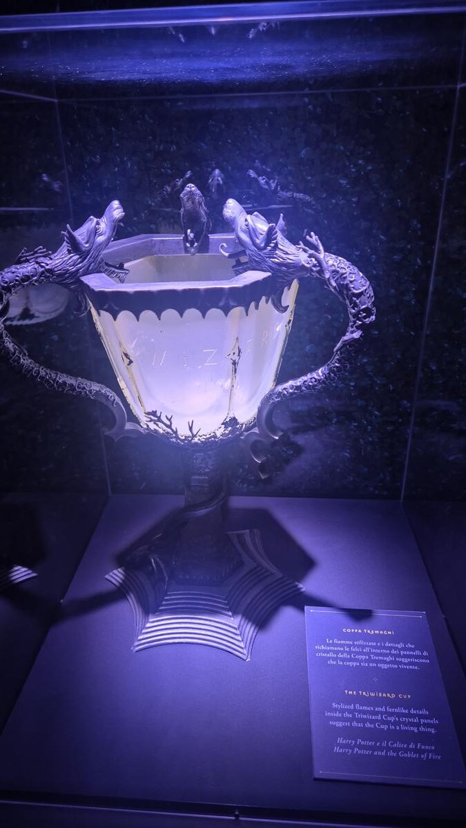 Galleria foto 'Harry Potter: The Exhibition a Milano – Venti sale piene di magia al The Mall – Le foto  – “Abbiamo preparato qualcosa di speciale per ogni fan “' - foto 5