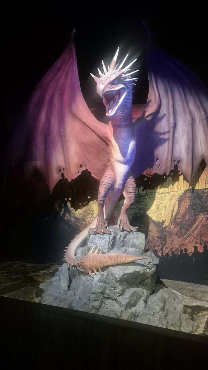 Galleria foto 'Harry Potter: The Exhibition a Milano – Venti sale piene di magia al The Mall – Le foto  – “Abbiamo preparato qualcosa di speciale per ogni fan “' - foto 2