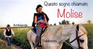 I pastori resistenti di Cheese 2025: premio al pugliese D’Innocenzio I pastori resistenti di Cheese 2025: premio al pugliese D’Innocenzio