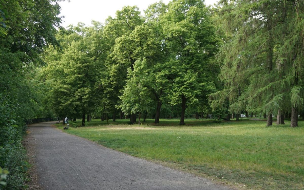 Milano Green Week, il progetto per creare delle “LeafAir Lounge” nei quartieri della città Milano Green Week, il progetto per creare delle “LeafAir Lounge” nei quartieri della città