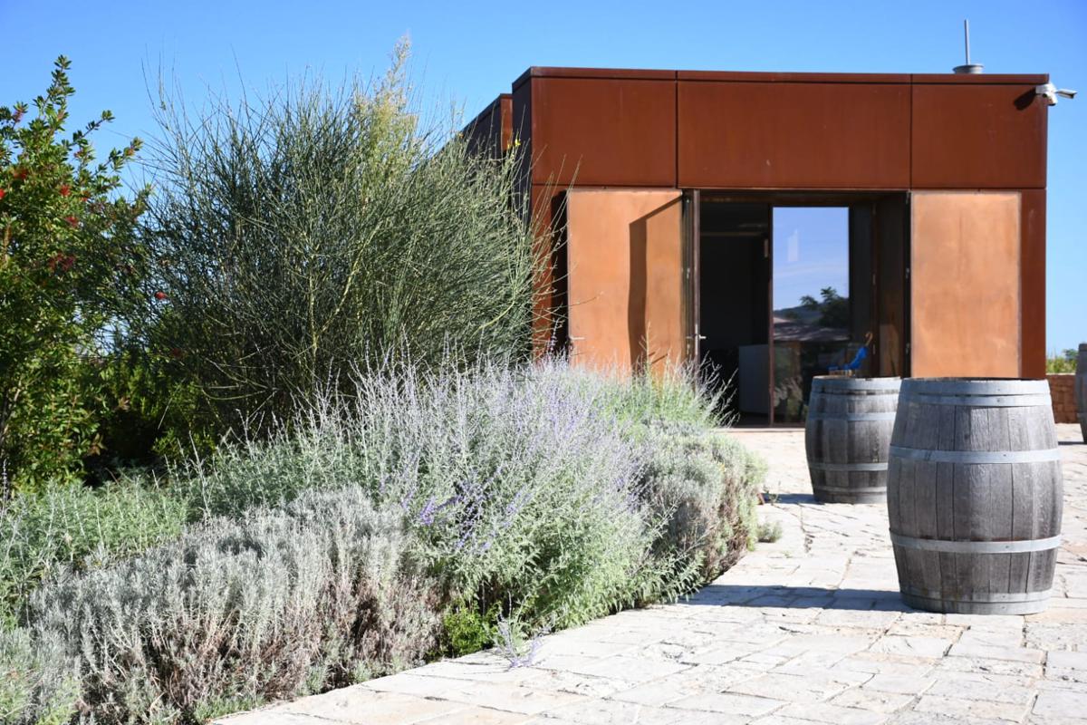 L’impegno di EIT Food in Italia: l’approccio rigenerativo di Morasinsi in Puglia L’impegno di EIT Food in Italia: l’approccio rigenerativo di Morasinsi in Puglia