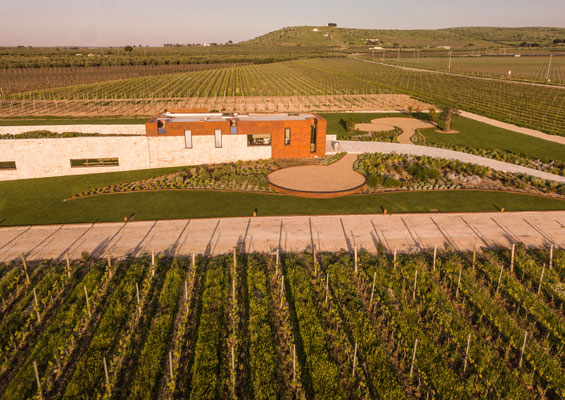 L’impegno di EIT Food in Italia: l’approccio rigenerativo di Morasinsi in Puglia L’impegno di EIT Food in Italia: l’approccio rigenerativo di Morasinsi in Puglia