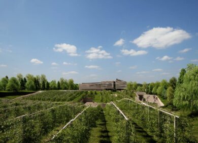 Masi Agricola, un pool di banche in soccorso dell’Amarone: finanziamento da 40mln per ridurre i debiti