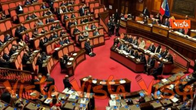 San Francesco, c’è l’ok definitivo del Senato: il 4 ottobre festa nazionale. Balboni: “Gioia e orgoglio”