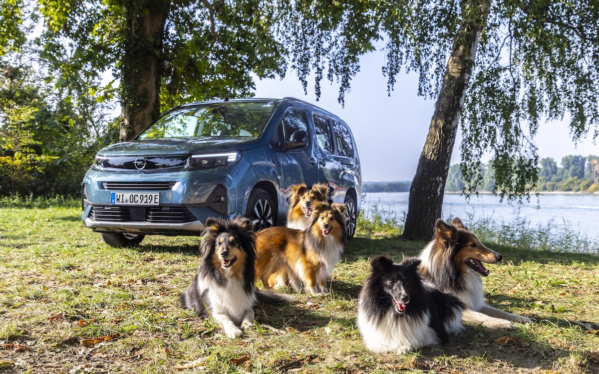 Opel Combo Electric: multispazio dog-friendly per la famiglia Opel Combo Electric: multispazio dog-friendly per la famiglia