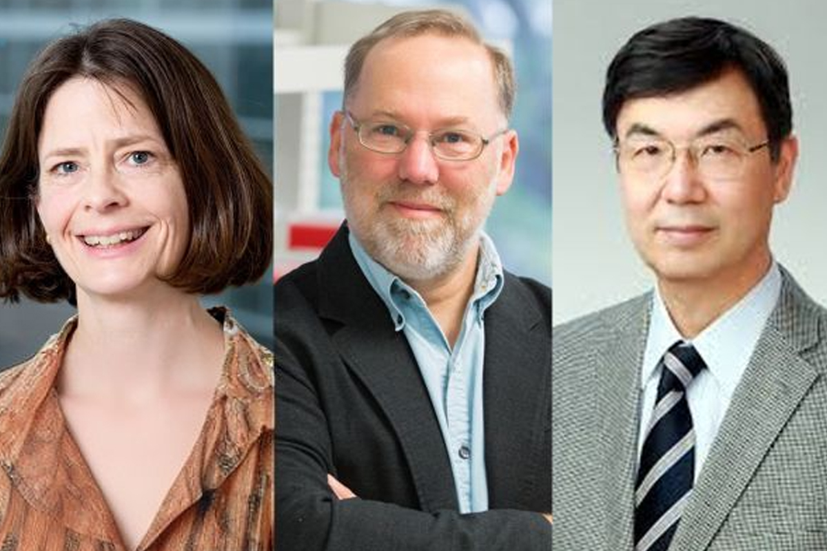 Nobel per la Medicina a Brunkow, Ramsdell e Sakaguchi per le scoperte sul sistema immunitario Nobel per la Medicina a Brunkow, Ramsdell e Sakaguchi per le scoperte sul sistema immunitario