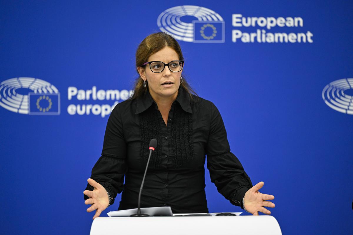 Ilaria Salis, oggi la giornata decisiva: “Affronterò il verdetto del Parlamento a testa alta”. Immunità o processo in Ungheria Ilaria Salis, oggi la giornata decisiva: “Affronterò il verdetto del Parlamento a testa alta”. Immunità o processo in Ungheria