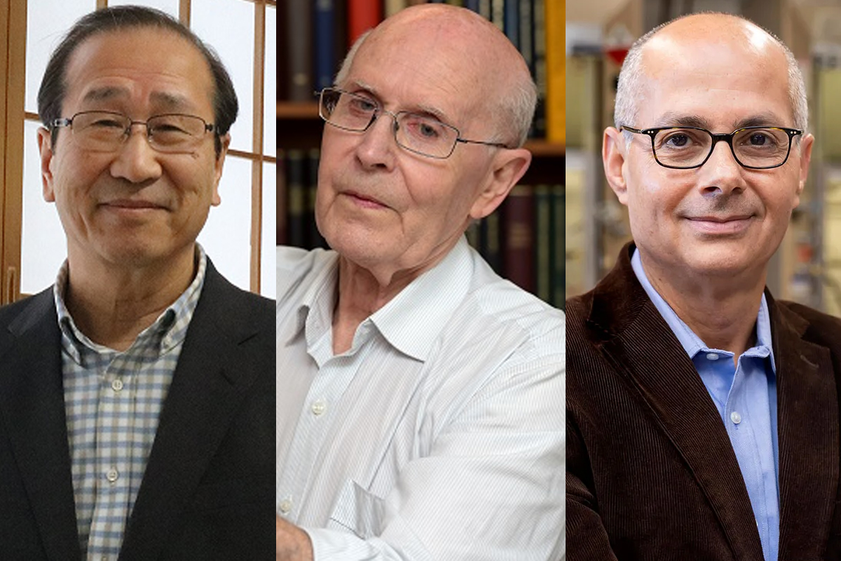 Chimica, il Nobel 2025 va a Kitagawa, Robson e Yaghi “per lo sviluppo di strutture metallo-organiche” Chimica, il Nobel 2025 va a Kitagawa, Robson e Yaghi “per lo sviluppo di strutture metallo-organiche”