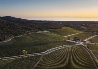 Maserati Grecale Tributo Il Bruciato: Fuoriserie con Antinori