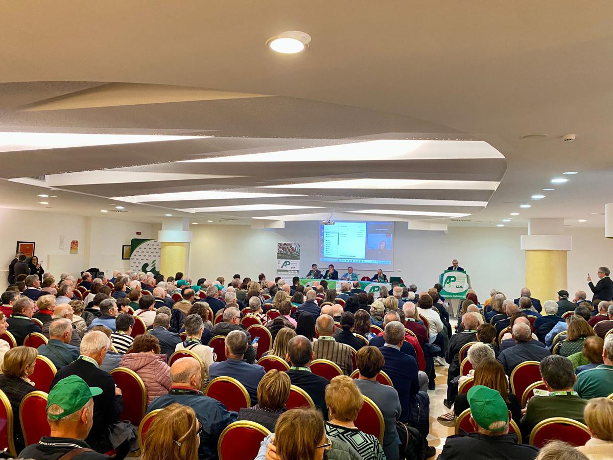 Giovani, anziani e agricoltura, ANP-CIA: “Serve nuovo patto per il Sud” Giovani, anziani e agricoltura, ANP-CIA: “Serve nuovo patto per il Sud”